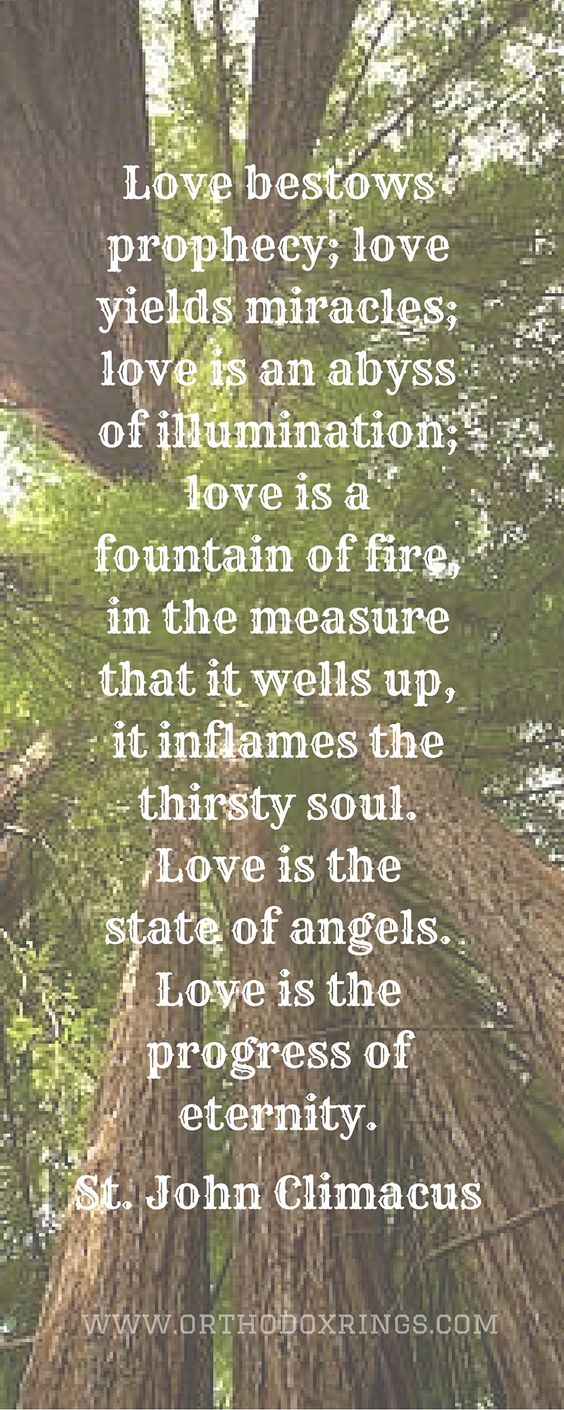 bd730194a41af8bd7aa1838f8c4c355f