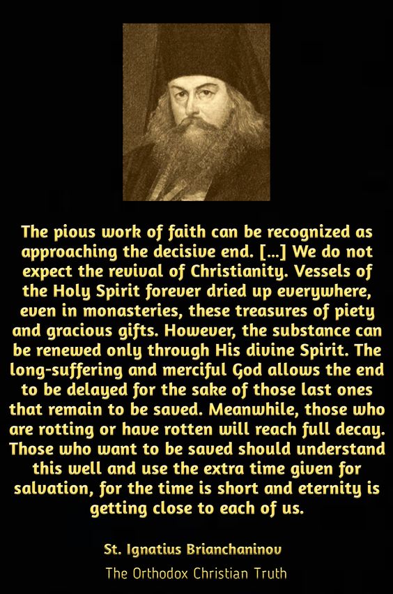 1a556b2fee9f29ea860663d5321cf3d2