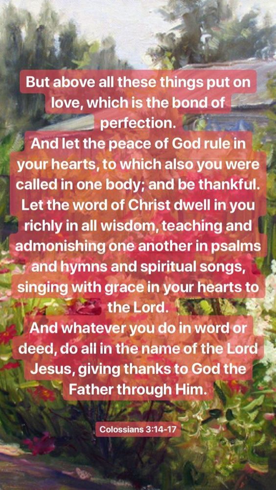 6eb75675c6a536412dac8c04c8d8b797