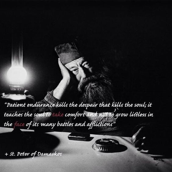 7c47a96ee2e181d05ca5df6508d86f57