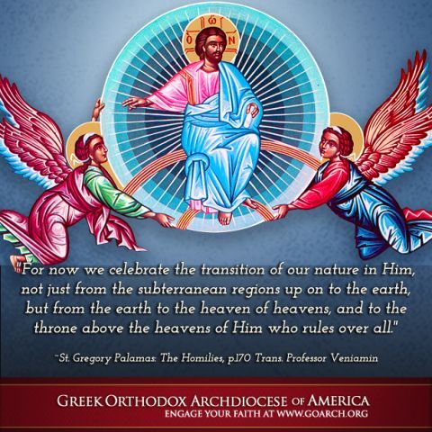 cb368088975399cf1aee82f0f44c9329