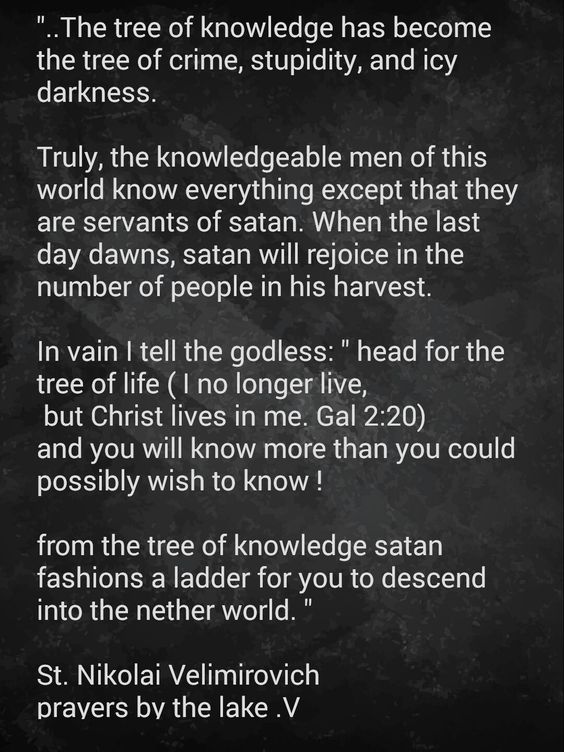 34e7b4d80c28307c0218251f999feb58