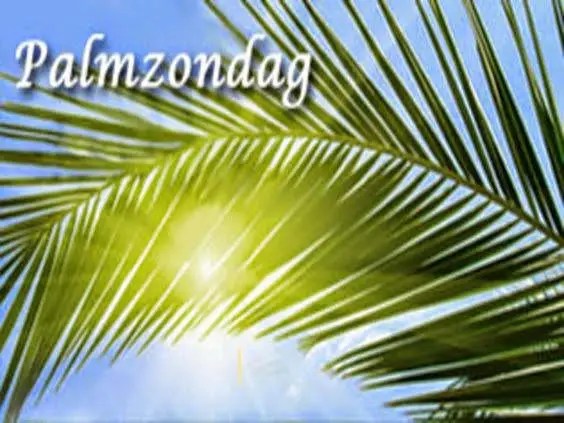 palmzondag87