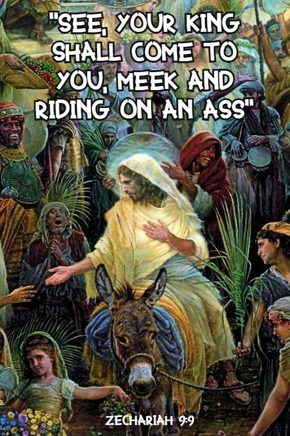 zechariah-9-9-see-your-king-shall-come-to-you-28-march-2021