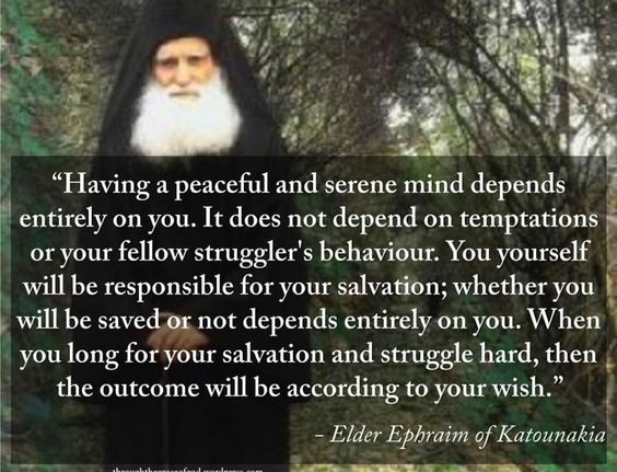 94bb82341d2eaf4e2ec5fbbb4d728106