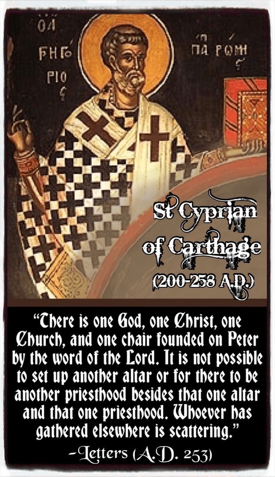 CYPRIAN 10