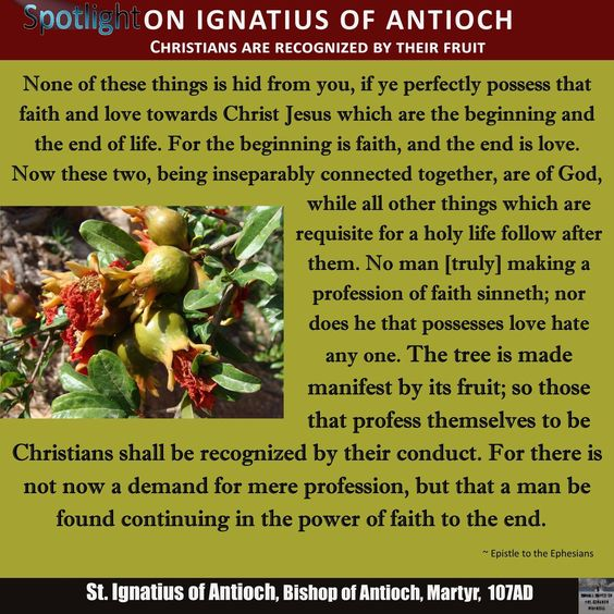 IGNATIUS147