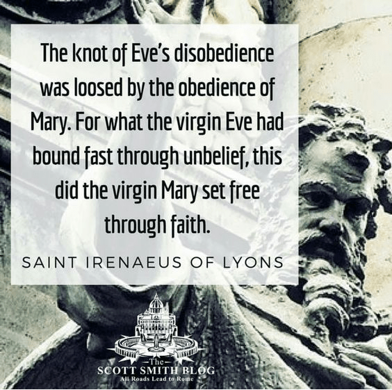 LYON951