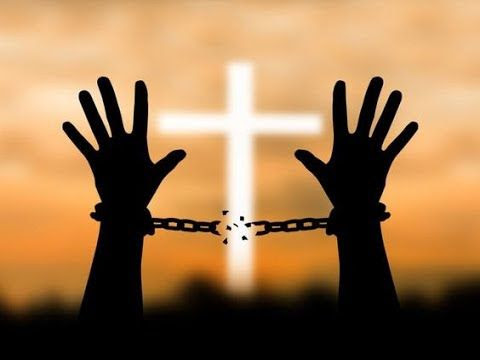 c8fa142ed542aba196161e1e11692323